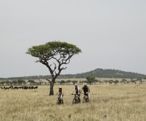 Read more about the article Unforgettable bike riding adventures