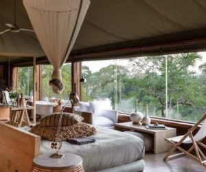 Read more about the article Top 5 luxury safari properties for solo travellers