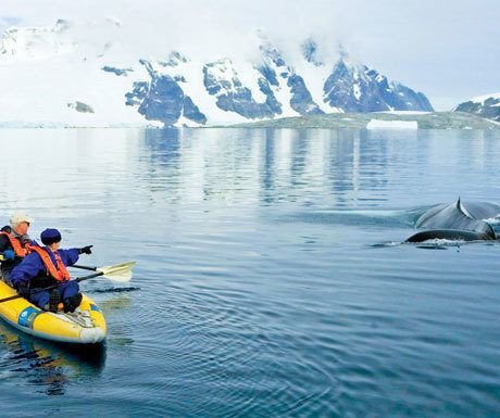 Read more about the article The best unique experiences in Antarctica