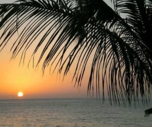 Read more about the article 6 luxury resorts with their own private airstrips