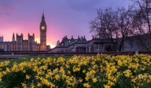 Read more about the article The 12 Best Walking Tour Companies in London