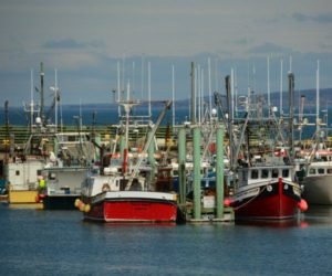 Read more about the article 6 great gastronomic experiences to have in Nova Scotia