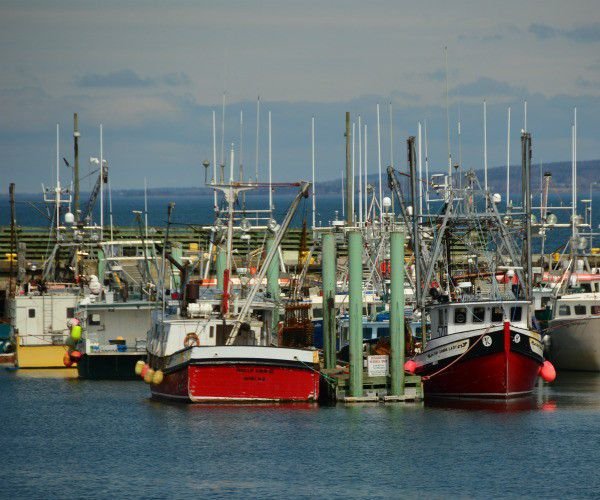 Read more about the article 6 great gastronomic experiences to have in Nova Scotia
