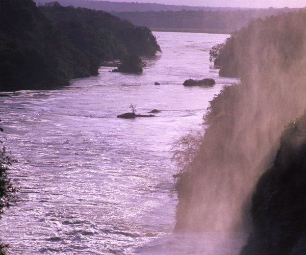 Read more about the article 5 things to do in Murchison Falls National Park