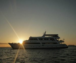 Read more about the article 7 reasons for choosing a small yacht to cruise the Galapagos