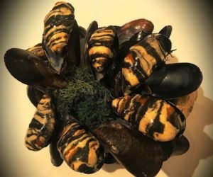 Read more about the article Recipe of the week: ‘Tigre’ mussels
