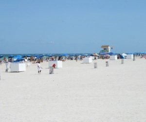 Read more about the article The 5 most stunning beaches in Florida