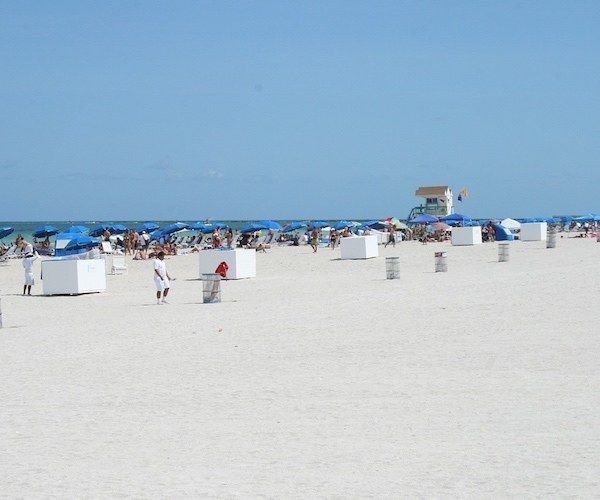 Read more about the article The 5 most stunning beaches in Florida