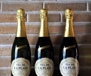 Read more about the article The best places to drink Cava in Barcelona