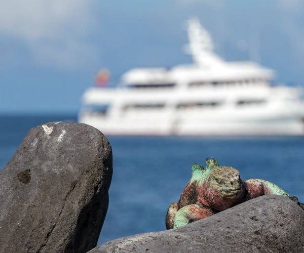 Read more about the article Luxury – the new trend in Galapagos