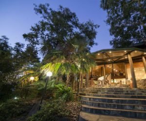 Read more about the article Uncover the place the rainforest meets the Nice Barrier Reef