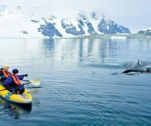 Read more about the article The perfect distinctive experiences in Antarctica
