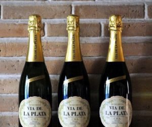 Read more about the article The most effective locations to drink Cava in Barcelona