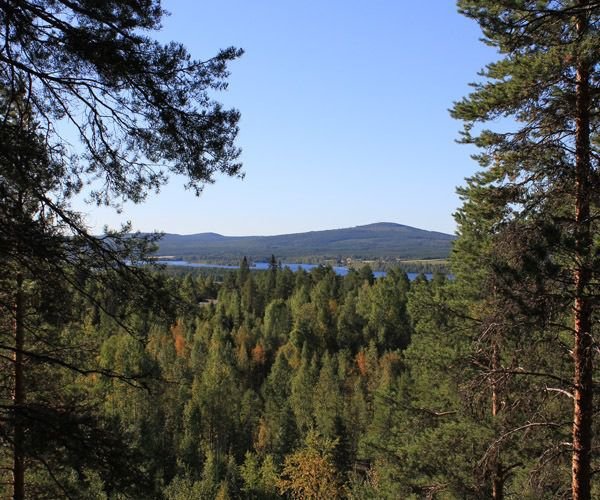 Read more about the article High 7 sustainable journey experiences