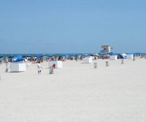 Read more about the article The 5 most gorgeous seashores in Florida