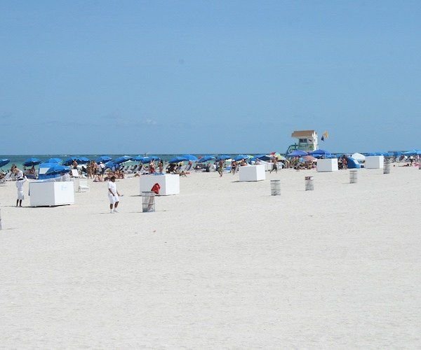 Read more about the article The 5 most gorgeous seashores in Florida