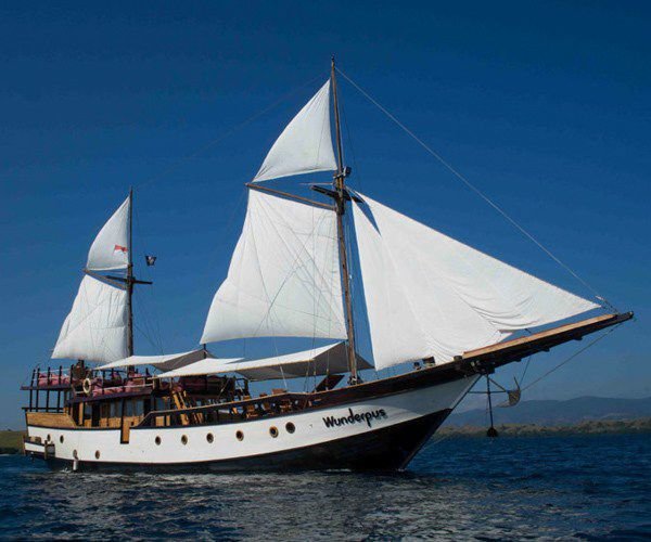 Read more about the article 5 highlights from Komodo Nationwide Park