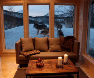 Read more about the article 5 of the very best accommodations in Arctic Europe
