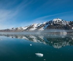 Read more about the article 9 secrets and techniques of Spitsbergen